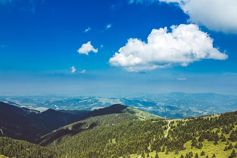 Apartman Vera Kopaonik Dış mekan fotoğraf